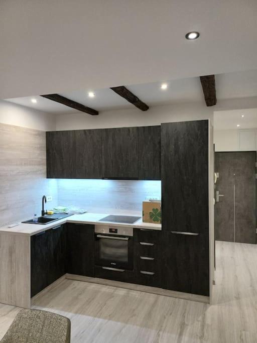 Apartman Ena Radiceva ザグレブ エクステリア 写真