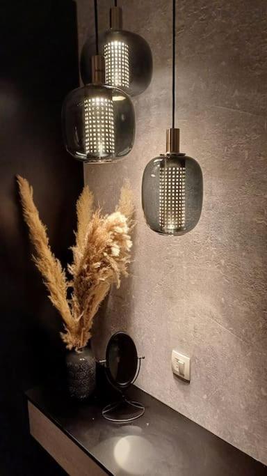 Apartman Ena Radiceva ザグレブ エクステリア 写真
