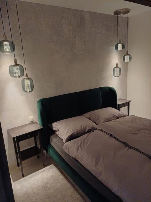 Apartman Ena Radiceva ザグレブ エクステリア 写真