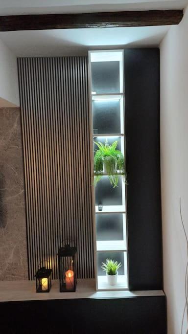 Apartman Ena Radiceva ザグレブ エクステリア 写真