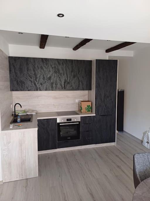 Apartman Ena Radiceva ザグレブ エクステリア 写真