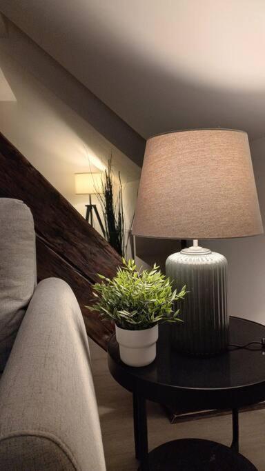 Apartman Ena Radiceva ザグレブ エクステリア 写真